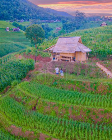 Téléchargez les photos : Terrain de riz mitoyen à Chiangmai, Thaïlande, terrasses de riz Pa Pong Piang, rizières vertes pendant la saison des pluies. Un couple d'hommes et de femmes visitent les terrasses de riz vert, séjournant dans une famille d'accueil - en image libre de droit