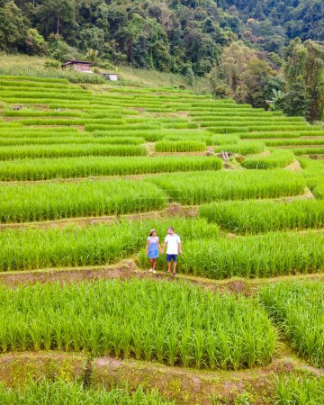 Téléchargez les photos : Terrain de riz mitoyen à Chiangmai, Thaïlande, terrasses de riz Pa Pong Piang, rizières vertes pendant la saison des pluies. Un couple d'hommes et de femmes visitent les terrasses de riz vert, séjournant dans une famille d'accueil - en image libre de droit