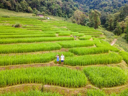 Foto de Terraced Rice Field en Chiangmai, Tailandia, terrazas de arroz Pa Pong Piang, arrozales verdes durante la temporada de lluvias. Un par de hombres y mujeres visitan las terrazas de arroz verde durante las vacaciones - Imagen libre de derechos
