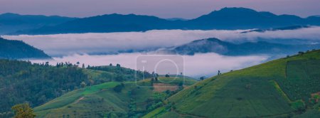Photo for Terraced Rice Field in Chiangmai, Thailand, Pa Pong Piang rice terraces, green rice paddy fields during rain season during sunset with foggy clouds - Royalty Free Image