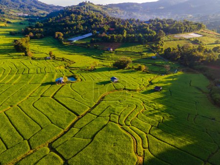 Foto de Vista del campo de arroz con terrazas en Chiangmai, Tailandia, terrazas de arroz Pa Pong Piang, arrozales verdes durante la temporada de lluvias - Imagen libre de derechos