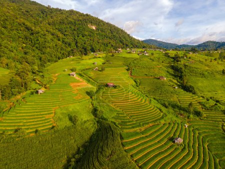 Photo for Beautiful green Terraced Rice Fields in Chiangmai, Thailand, Pa Pong Piang rice terraces, green rice paddy fields during rainy season - Royalty Free Image