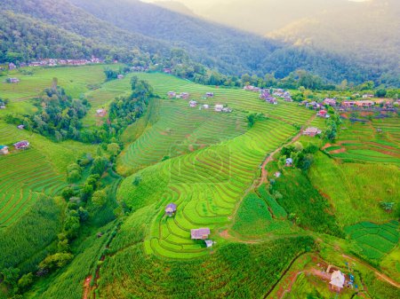 Photo for Terraced Rice Field in Chiangmai, Thailand, Pa Pong Piang rice terraces, green rice paddy fields during rain season. Small homestay farms in the mountains of Thailand - Royalty Free Image