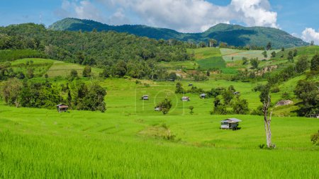 Foto de Terraced Rice Field en Chiangmai durante la temporada de lluvias verdes, Tailandia. Proyecto Real Khun Pae Norte de Tailandia con un cielo azul nublado - Imagen libre de derechos