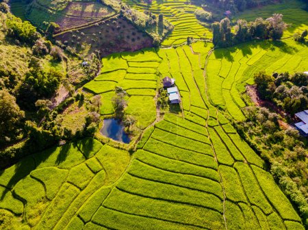 Téléchargez les photos : Terrain de riz en terrasses à Chiangmai pendant la saison des pluies vertes, Thaïlande. Projet Royal Khun Pae Nord de la Thaïlande en soirée - en image libre de droit