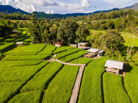 Foto de Terraced Rice Field en Chiangmai durante la temporada de lluvias verdes, Tailandia. Royal Project Khun Pae Northern Thailand. pequeña casa de familia de bambú en la granja en las montañas - Imagen libre de derechos