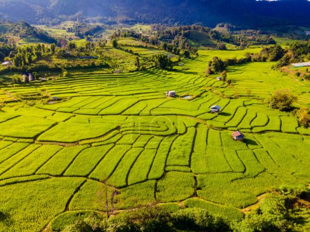 Foto de Terraced Rice Field en Chiangmai durante la temporada de lluvias verdes, Tailandia. Royal Project Khun Pae Norte de Tailandia - Imagen libre de derechos