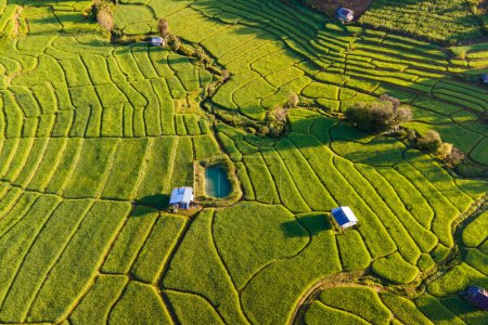 Téléchargez les photos : Terrain de riz en terrasses à Chiangmai pendant la saison des pluies vertes, Thaïlande. Projet royal Khun Pae Vallée nord de la Thaïlande - en image libre de droit