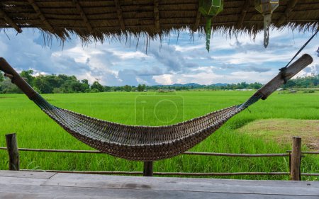Foto de Pequeña casa de familia en la granja con un arrozal de arroz verde en el centro de Tailandia. hamaca frente a una cabaña de bambú de madera con vistas a un arrozal de arroz verde en Tailandia - Imagen libre de derechos
