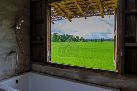 Téléchargez les photos : Vue depuis une fenêtre avec baignoire dans une petite famille d'accueil sur la ferme avec une rizière verte en Thaïlande centrale - en image libre de droit