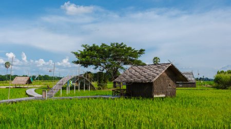 Téléchargez les photos : Petite famille d'accueil à la ferme avec une rizière verte dans le centre de la Thaïlande, cabanes de bambou dans une rizière verte - en image libre de droit
