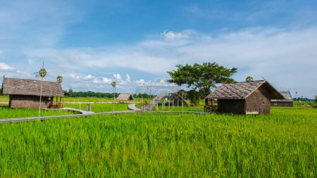 Foto de Pequeña casa de familia en la granja con un arrozal de arroz verde en el centro de Tailandia, cabañas de bambú en un arrozal de arroz verde - Imagen libre de derechos