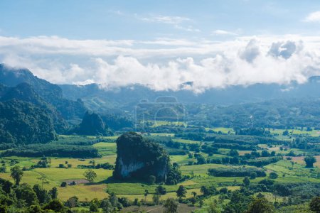 Téléchargez les photos : Vue sur la montagne du parc national de Phu Langka, province de Phayao Thaïlande - en image libre de droit