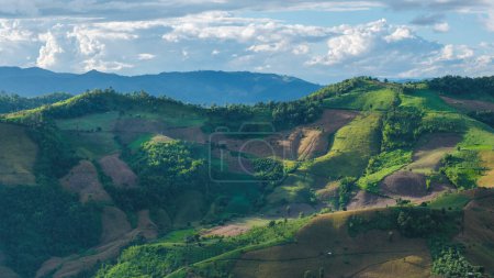 Téléchargez les photos : Montagnes Doi Chang de Chiang Rai Nord de la Thaïlande, vue naturelle sur la montagne verte sur Doi Chang, province de Chiang Rai, Thaïlande - en image libre de droit