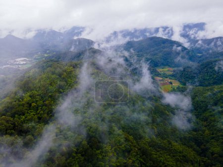 Foto de Samoeng Forest Park, una vista espectacular del bosque y las montañas con nubes y niebla, Mae Sa Valley Loop Chiang Mai Tailandia - Imagen libre de derechos