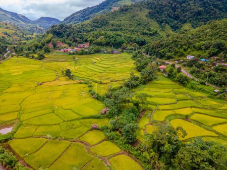 Téléchargez les photos : Jaune vert doré rizières terrasses de rizières à Sapan Bo Kluea Nan Thaïlande, une vallée verte avec des rizières vertes et des montagnes avec des fermes - en image libre de droit
