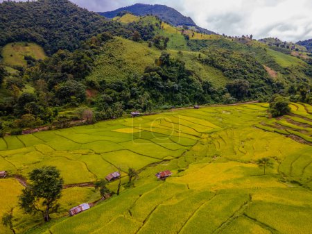 Téléchargez les photos : Jaune vert doré rizières terrasses de rizières à Sapan Bo Kluea Nan Thaïlande, une vallée verte avec des rizières vertes et des montagnes, petites cabanes de bambou et fermes dans les rizières - en image libre de droit