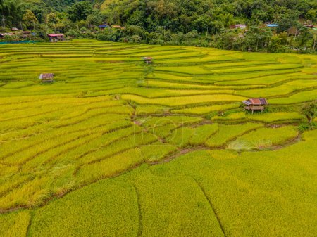 Foto de Arroz arrozales terrazas en Sapan Bo Kluea Nan Tailandia, un valle verde con campos de arroz verde y montañas en Tailandia - Imagen libre de derechos