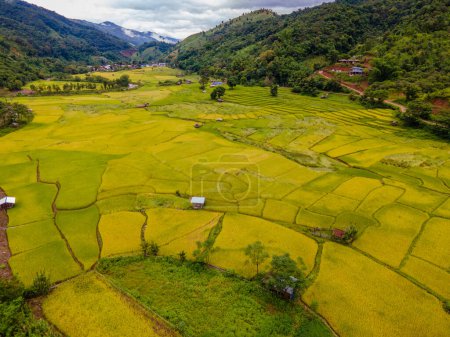 Foto de Arroz arrozales terrazas en Sapan Bo Kluea Nan Tailandia, - Imagen libre de derechos