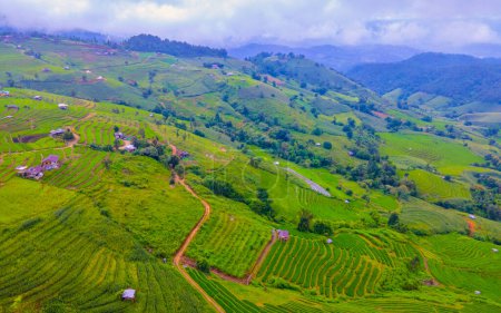 Photo for Terraced Rice Field in Chiangmai, Thailand, Pa Pong Piang rice terraces, green rice paddy fields during green season - Royalty Free Image