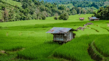 Foto de Terraced Rice Field en Chiangmai durante la temporada de lluvias verdes, Tailandia. Royal Project Khun Pae Valle del norte de Tailandia con pequeñas granjas en los campos de arroz - Imagen libre de derechos
