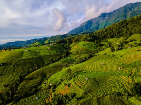 Téléchargez les photos : Coucher de soleil dans les montagnes avec des champs de riz en terrasses verdoyantes à Chiangmai, Thaïlande, terrasses de riz Pa Pong Piang, rizières vertes pendant la saison des pluies - en image libre de droit