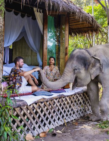 Foto de Un par de mujeres asiáticas y hombres europeos visitan un santuario de elefantes en Chiang Mai Tailandia durante las vacaciones, una granja de elefantes en la selva de las montañas de Chiang Mai Tailandia. - Imagen libre de derechos