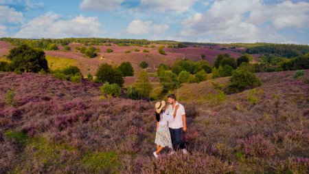 Foto de Posbank National Park Veluwe, brezo rosa púrpura en flor, calentador en flor en el Veluwe por las colinas del Posbank Rheden, Países Bajos. un par de hombres y mujeres caminando por los campos de brezo - Imagen libre de derechos
