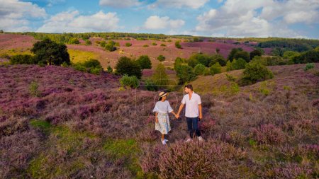 Téléchargez les photos : Un couple d'hommes et de femmes marchant dans les champs de bruyère du parc national de Posbank Veluwe Pays-Bas, bruyère rose pourpre en fleurs, chauffe-fleurs sur le Veluwe par les collines de la Posbank Rheden, - en image libre de droit