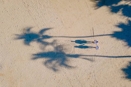 Photo for Drone view from above at a couple of men and women walking on the beach with palm trees on the beach road of Pattaya Thailand - Royalty Free Image