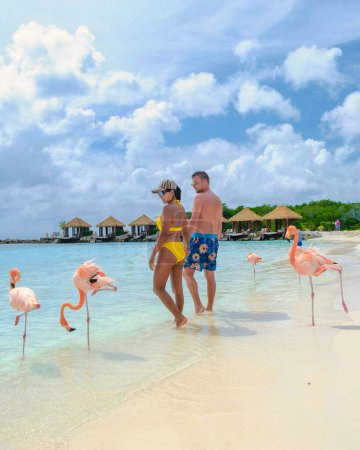 Foto de Playa de Aruba con flamencos rosados en la playa, un par de hombres y mujeres en la playa con flamencos rosados en Aruba Island Caribbean. Hombres y mujeres en un viaje de luna de miel relajándose en la playa - Imagen libre de derechos