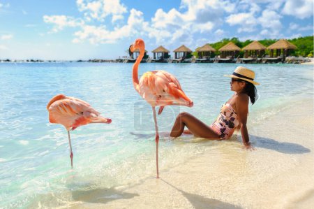 Téléchargez les photos : Femmes asiatiques sur la plage avec flamants roses à Aruba, flamant rose sur la plage de l'île d'Aruba Caraïbes. femme en bikini se détendre sur la plage pendant les vacances - en image libre de droit