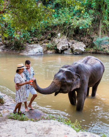 Téléchargez les photos : Un couple nourrit un éléphant dans un sanctuaire d'orphelinat d'éléphants à Chiang Mai Thaïlande par une rivière, une ferme d'éléphants dans la jungle montagneuse de Chiang Mai Thaïlande. - en image libre de droit