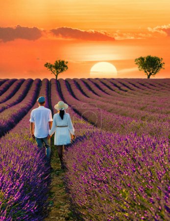 Photo for Provence France, Lavender field Valensole Plateau, a couple of men and woman visit a colorful field of Lavender at sunset Valensole Plateau Provence Southern France - Royalty Free Image