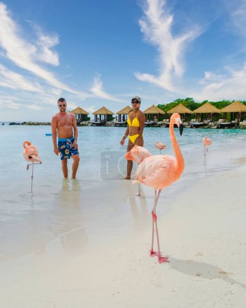 Téléchargez les photos : Aruba, un couple d'hommes et de femmes sur la plage avec des flamants roses à Aruba Island Caribbean. - en image libre de droit