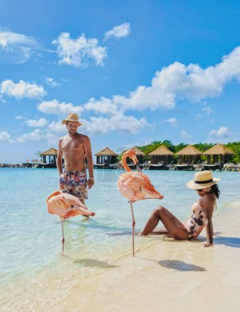 Photo for A couple of men and women on the beach with pink flamingos at Aruba Island Caribbean. Aruba Beach with pink flamingos at the beach, Flamingo beach Aruba - Royalty Free Image