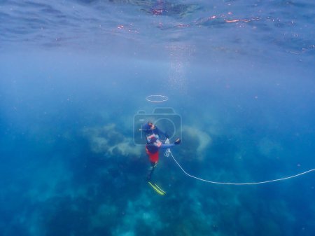 Téléchargez les photos : Jeunes hommes lors d'un voyage de plongée en apnée en Thaïlande samésienne. plongée sous-marine avec des poissons dans la piscine de récif corallien. Mode de vie de voyage, aventure nautique, activité de natation pendant les vacances d'été à la plage - en image libre de droit