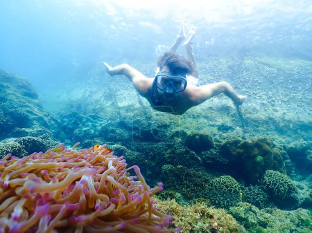 Foto de Jóvenes en un viaje de snorkel en Samaesan Tailandia bucear bajo el agua con peces en la piscina de arrecife de coral mar. Estilo de vida de viajes, aventura en deportes acuáticos, actividades de natación en vacaciones de verano en la playa - Imagen libre de derechos