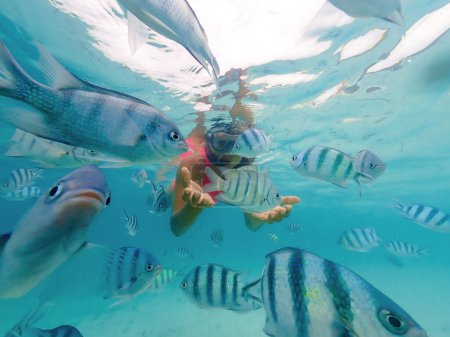 Téléchargez les photos : Femme asiatique en voyage de plongée en apnée à Samaesan Thaïlande. plongée sous-marine avec des poissons dans la piscine de récif corallien. Mode de vie de voyage, aventure nautique, activité de natation pendant les vacances d'été à la plage - en image libre de droit