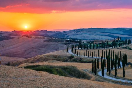Photo for Tuscany landscape with grain fields and cypress trees on the hills at sunset. Summer rural landscape with a curved road in Toscane Italy Europe - Royalty Free Image