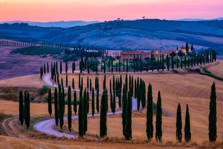 Photo for Tuscany landscape with grain fields and cypress trees on the hills at sunset. Summer rural landscape with a curved road in Toscane Italy Europe at sunset - Royalty Free Image