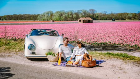 Téléchargez les photos : Lisse Pays-Bas un couple faisant un road trip avec une vieille voiture vintage dans la région des bulbes de fleurs néerlandaises avec des champs de tulipes au printemps - en image libre de droit