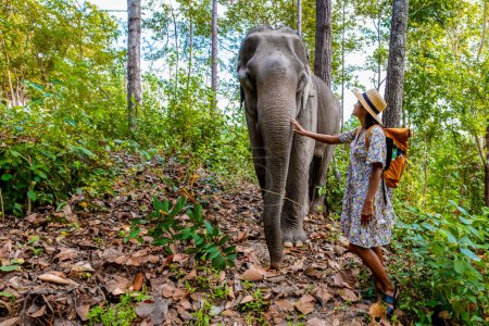 Photo for Asian woman visiting an Elephant sanctuary in Chiang Mai Thailand, a girl with an elephant in the jungle rainforest of Chiang Mai Thailand. - Royalty Free Image