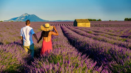 Téléchargez les photos : Un champ coloré de lavande en fleurs Provence Sud de la France Couple hommes et femmes en vacances en Provence Sud de la France marchant dans un champ de lavande à Valensole - en image libre de droit