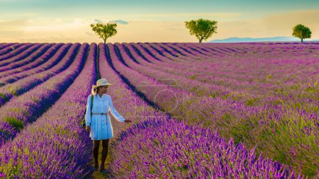 Photo for Valensole Provence France, a colorful field of Lavender in bloom Provence Southern France women on vacation at the Provence Southern France walking in a lavender field - Royalty Free Image