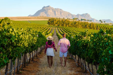 Téléchargez les photos : Paysage viticole au coucher du soleil avec montagnes à Stellenbosch Le Cap Afrique du Sud. raisins de cuve sur la vigne dans un vignoble, un couple homme et femme marchant dans un vignoble à Stellenbosch - en image libre de droit