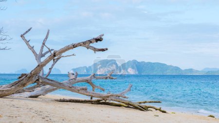 Téléchargez les photos : Vue à Koh Kradan une île tropicale avec du sable blanc doux et un arbre mort sur la plage au coucher du soleil, un océan de couleur turque à Koh Kradan Trang Thaïlande - en image libre de droit