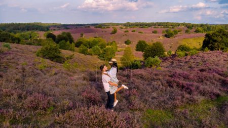 Posbank National Park Veluwe, purple pink heather in bloom, blooming heater on the Veluwe by the Hills of the Posbank Rheden, Netherlands. couple of men and women walking at the Heather fields summer