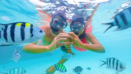 Téléchargez les photos : Un couple de plongée avec tuba en Thaïlande nagent tranquillement sous l'eau avec des poissons dans l'aqua liquide d'une piscine, profiter des loisirs et s'amuser dans l'océan en Thaïlande, couple de plongée avec tuba - en image libre de droit