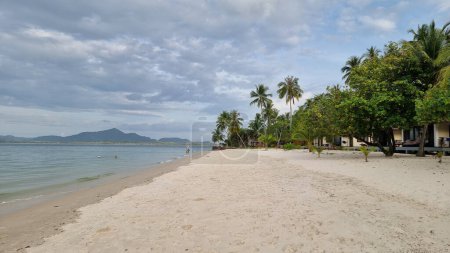 Téléchargez les photos : Une plage de sable tranquille bordée de palmiers oscillants et de maisons pittoresques le long du rivage, créant une scène côtière paisible et idyllique. Koh Mook Thaïlande - en image libre de droit